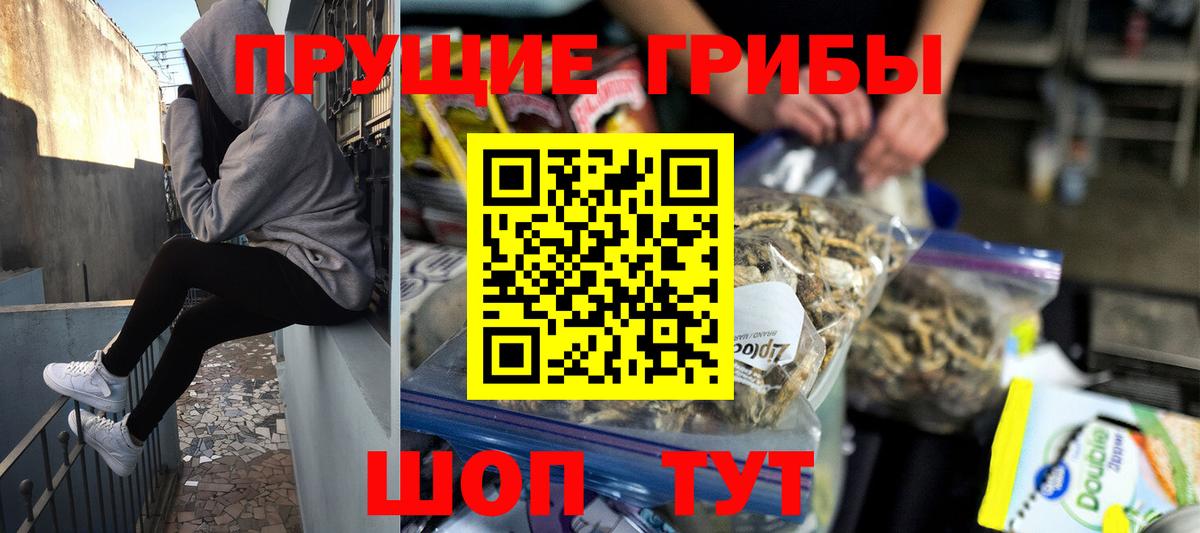 Подольск  Галлюциногенные грибы мухоморы  Галлюциногенные грибы Psilocybe  Вход с VPN 